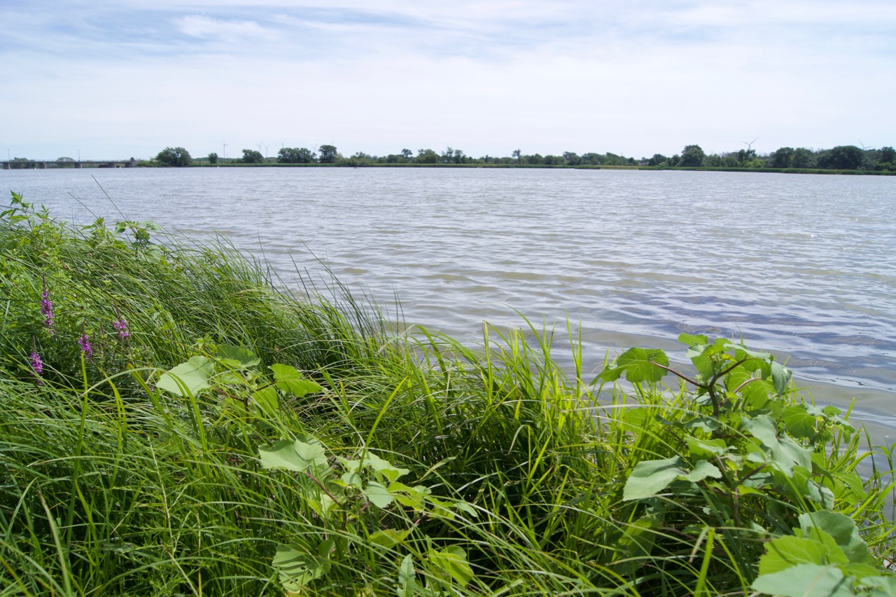 The Grand River at Dunnville