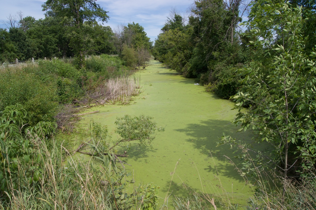 Feeder Canal for the wellland Canal